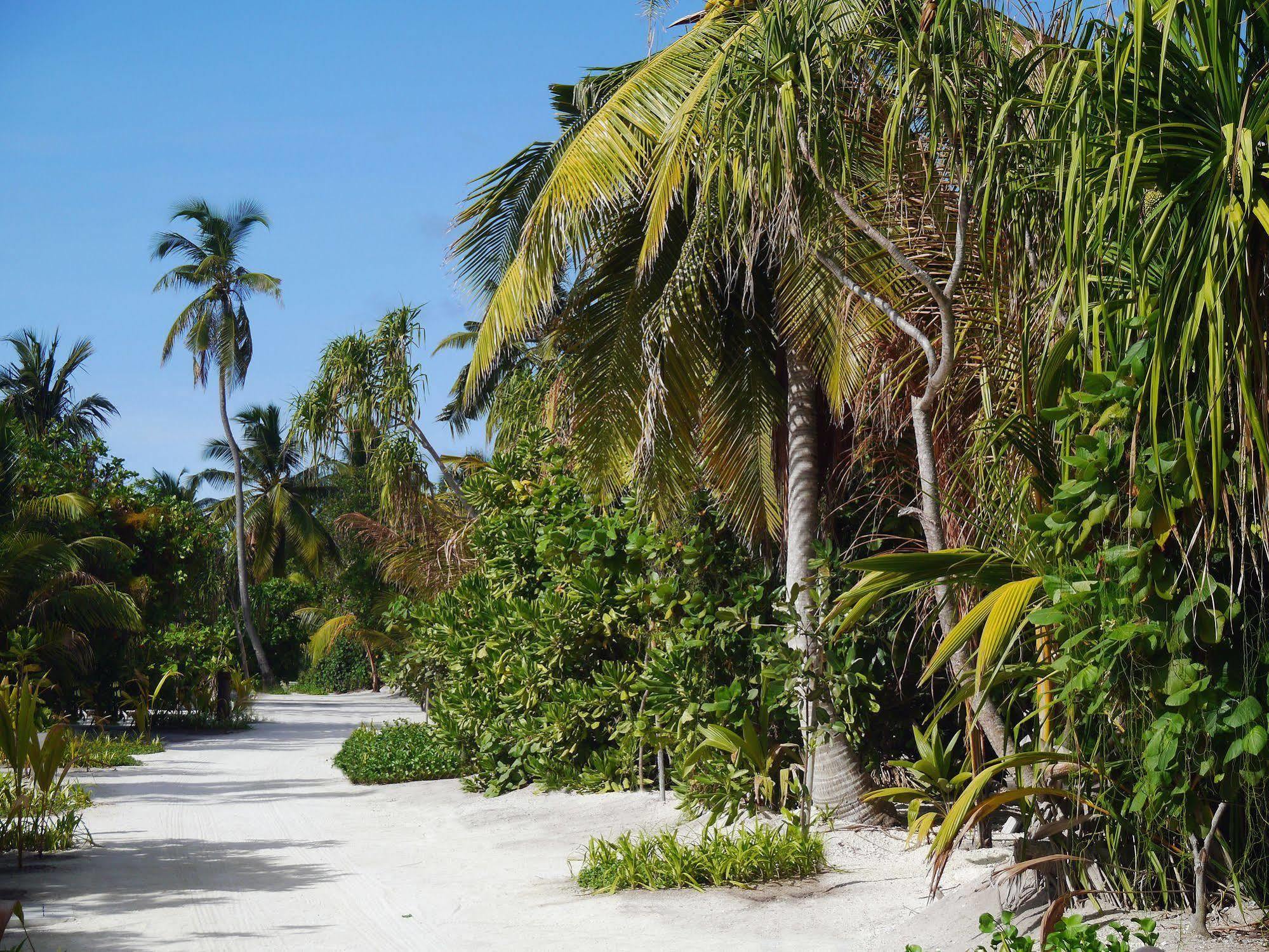 เดอะ เรซิเดนซ์ มัลดีฟส์ Hotel Dhigurah  ภายนอก รูปภาพ